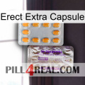 Erect Extra Capsule new12